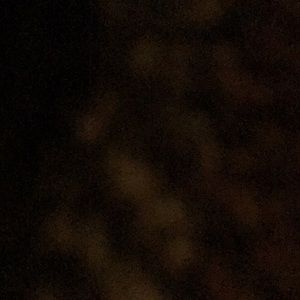 Meet your Posher, Janette